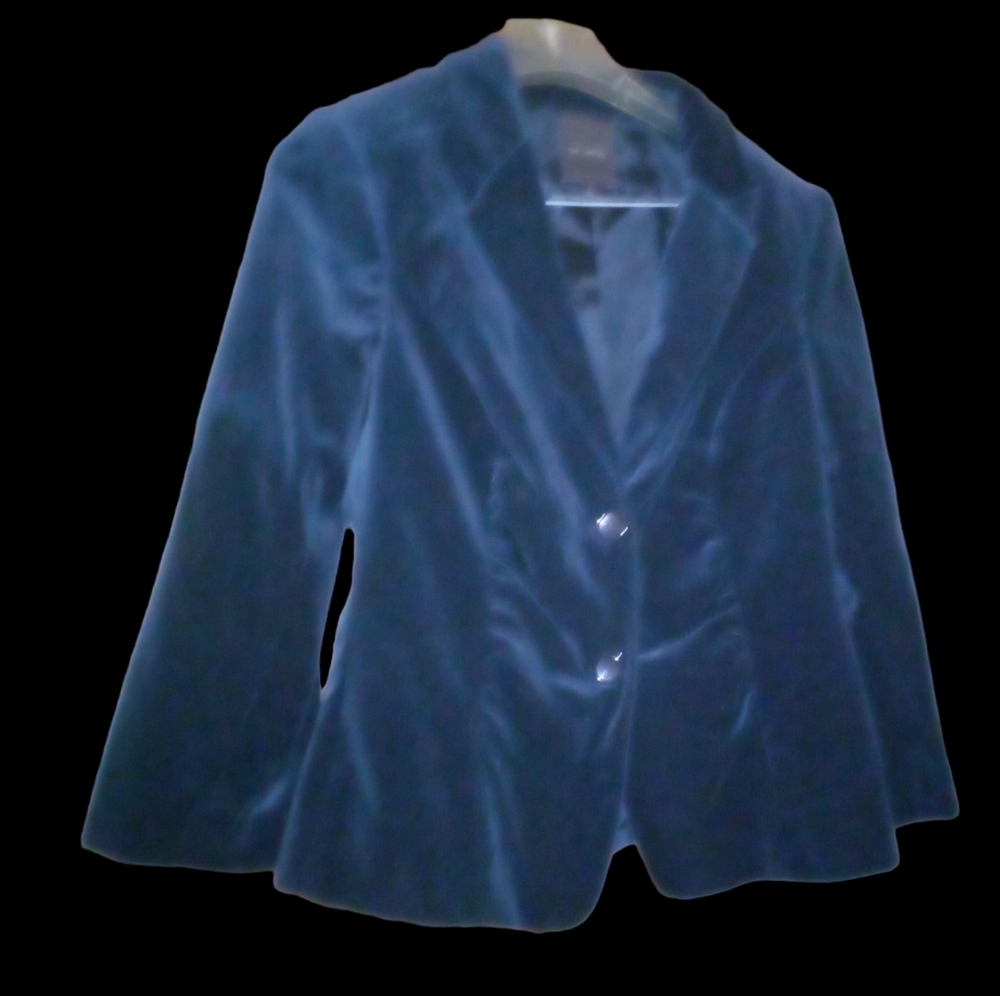 Black Velvet blazer The Limited